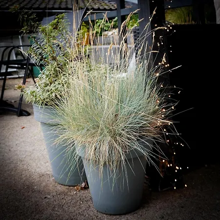 Alojamento de Acomodação e Pequeno-almoço Burgau 3*