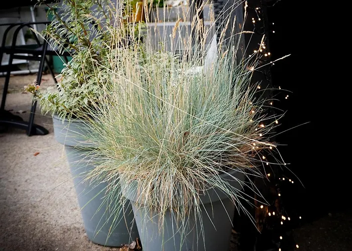 Frühstückspension Burgau 3*